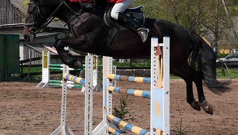 Raudondvaryje varžysis ne tik profesionalai, bet ir jauniai, mėgėjai ir poni klasės žirgai