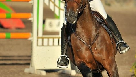 B.Gutkauskas vienas geriausių ne tik Lietuvoje, bet ir Europoje