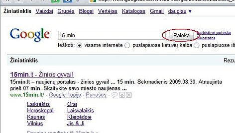 Google paie&scaron;kos svetainė.