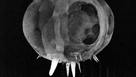 Operacijos &bdquo;Tumbler-Snapper&ldquo; metu 1952-aisiais susprogdinta 1 kilotonos atominė bomba.