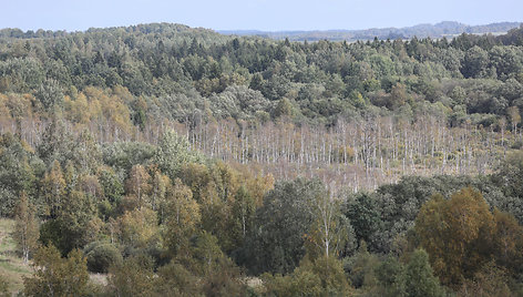 Aukščiausias Žemaitijos piliakalnis – Medvėgalis