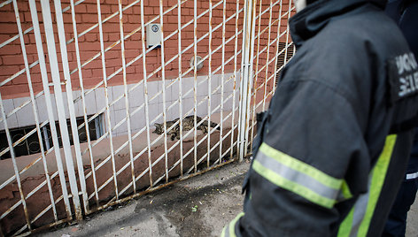 Ugniagesiai išvadavo užstrigusį katiną