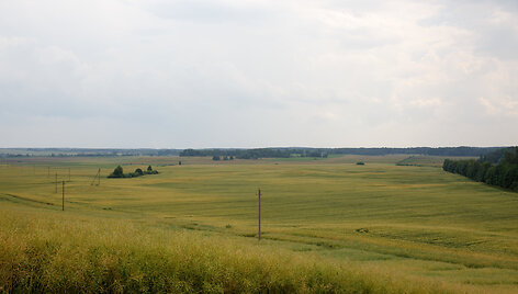Tytuvėnų apžvalgos bok&scaron;tas