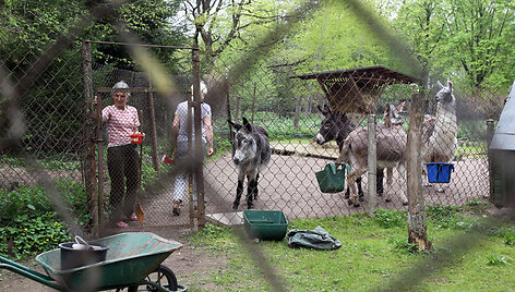 Kauno zoologijos sodas