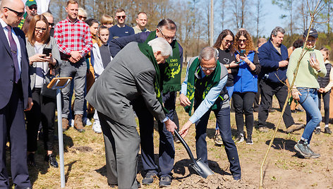 Ąžuolų sodinimo akimirkos