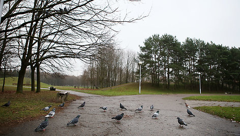 Paukščiai Draugystės parke