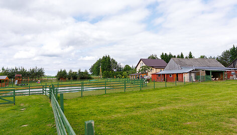 Ožka malė