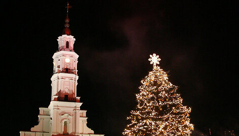 2006 metų eglė