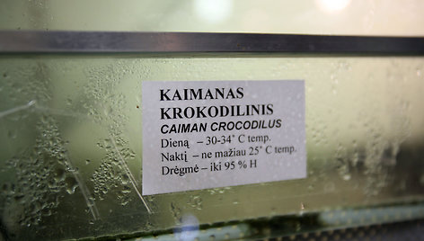 Krokodilo voljeras