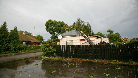 Kaune vėjas laužė medžius