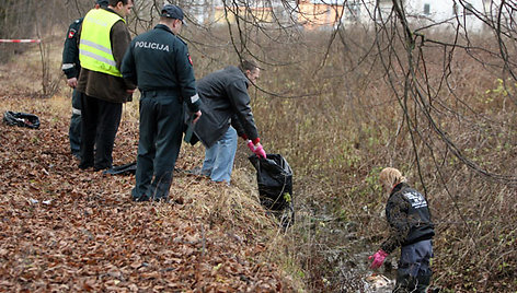 Pirminiais duomenimis, griovyje rasta apie 20 apirusių šunų kūnų