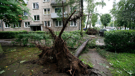 Vėjo padariniai