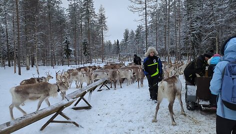 Birutės, Edgaro, Skomanto ir Medeinos kelionė į Laplandiją