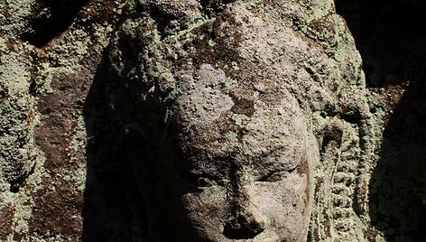 Angkor What &scaron;ventykloje