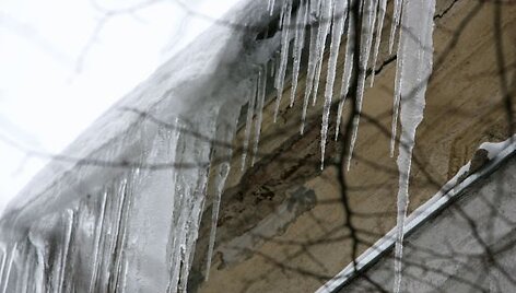 Varvekliai - pastatų savininkų galvos skausmas