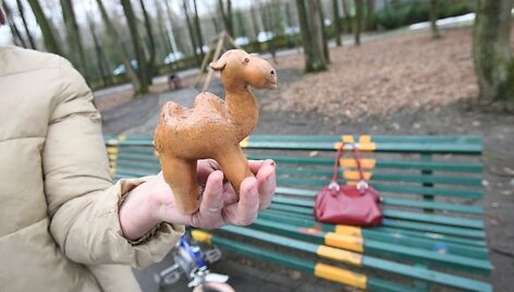 Zoologijos sode esančius suoliukus jaunimas ketina paversti žaismingesniais