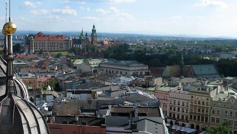 Krokuvos panorama