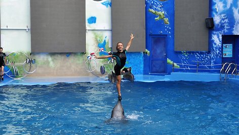 Delfinariumas Odesoje – „būtina aplankyti“ sąrašo objektas, jei miestą lankote su šeima