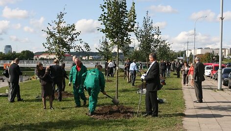Kostiumuoti &bdquo;Investuotojų forumo&ldquo; nariai vakar prie Baltojo tilto sodino liepaičių alėją.