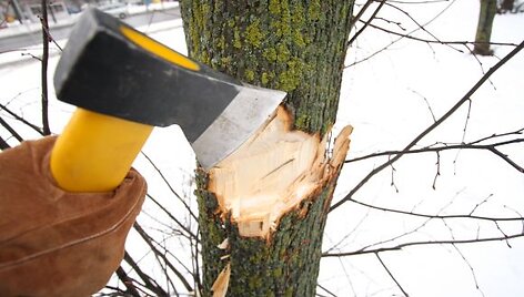 Urėdijos užsiima kiek kitokia mi&scaron;kų priežiūra nei savivaldybė. Miestas pirmiausiai rūpinasi teritorijos tvarkymu, o urėdijos &ndash; daugiau mi&scaron;kų sodinimu ir kirtimu.