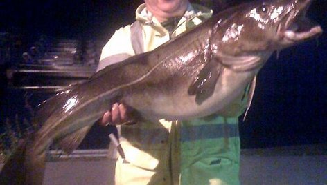 Norvegijoje G.Bendžius pagavo 15 kg sveriančią menkę.