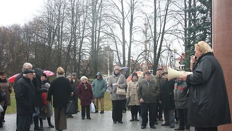 Piketuotojai i&scaron;rei&scaron;kė nepasitenkinimą dėl dabartinės politinės situacijos. 2010 m. lapkričio 6 d. 