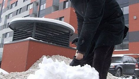 Klaipėdoje vėl bus nemokamai dalijami kastuvai.