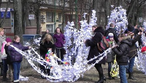 Gerves iškabino ant Danės krantinių augančių sakurų. 2011 m. balandžio 8 d. 