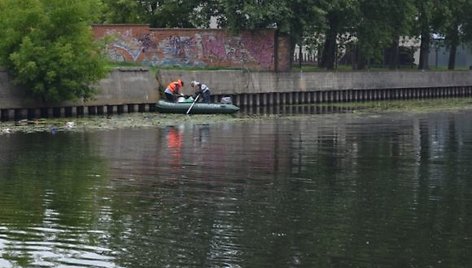 Šiukšlės buvo renkamos Danės krantinėse bei nuo vandens paviršiaus.