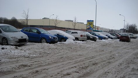 Raginimus patiems pasirūpinti savo kiemais i&scaron;girdo ne visi.