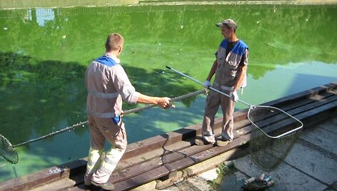 Pirmadienio popietę dar buvo traukiamos atliekos i&scaron; Danės.