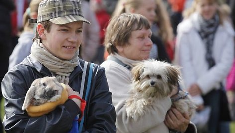 Gargžduose į Pasaulinės gyvūnų dienos renginius susirinko pusė tūkstančio žiūrovų. 