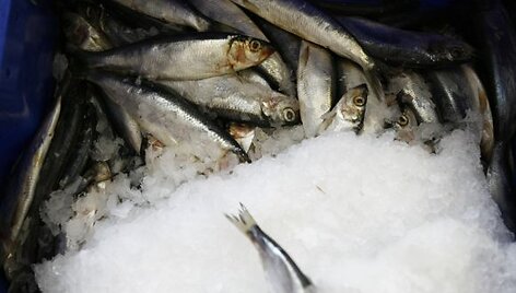 I&scaron; Žuvininkystės produktų aukciono norima susigrąžinti apie 5,6 mln. Lt, skirtų i&scaron; Europos Sąjungos fondų. 
