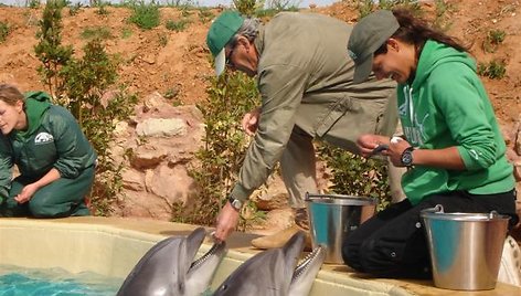 Delfinus į Graikiją atlydėjo treneriai ir veterinarijos specialistai.