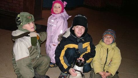 Klaipėdos Jūrų muziejuje pradeda veikti Pingvinų pa&scaron;tas. 