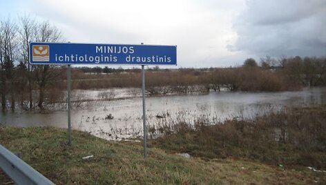 I&scaron;siliejusi Minija