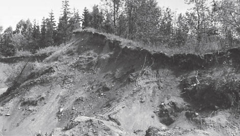Stirbaičių piliakalnio liekanos i&scaron; pietvakarių pusės 1972 m. 