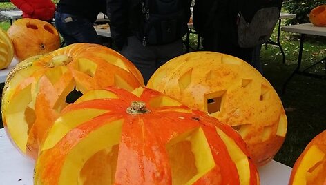 &Scaron;vėk&scaron;ni&scaron;kiai vėl aktyviai ruo&scaron;iasi savaitgalį vyksiančiai moliūgų &scaron;ventei &bdquo;Mes už &scaron;viesą&ldquo;