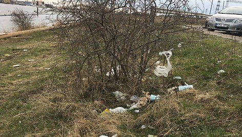 Smeltės botaninis draustinis Malkų įlankoje paverstas šiukšlynu