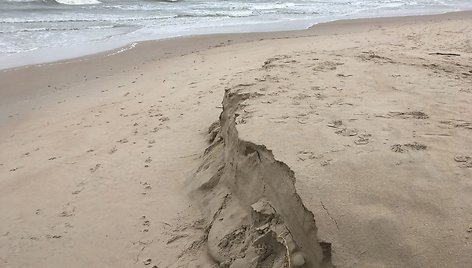 Palanga penktadienį tvarkosi audros pridarytus nuostolius