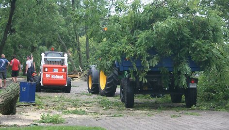 Išversti medžiai operatyviai šalinti ugniagesių.