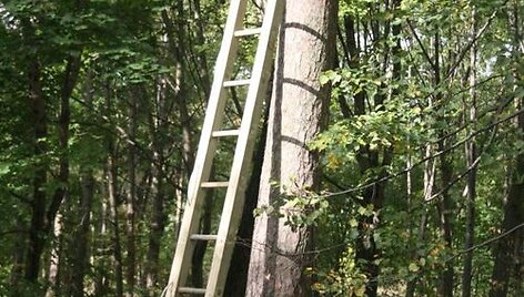 Baigiama įrengti laipynių parką