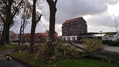 Stiprus vėjas Klaipėdoje laužė medžius.