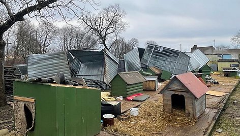 Klaipėdos rajone, Glaudėnuose, vėjas išvartė gyvūnų prieglaudos narvus.