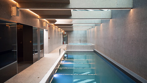 Baseinas &ndash; vie&scaron;bučio &bdquo;SPA Nida&ldquo; i&scaron;skirtinumas.