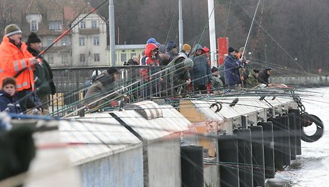 Pasirodžiusios pirmosios stintos sutraukė žvejus į Kruizinių laivų terminalą. 