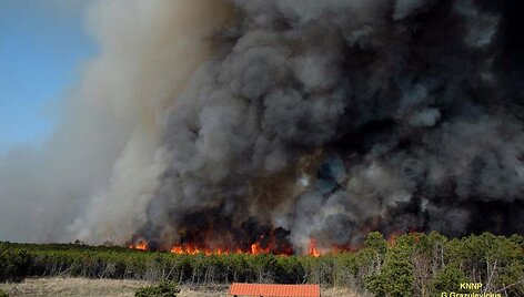 2006-aisiais siautęs Smiltynės gaisras pramintas amžiaus gaisru. I&scaron;degė 235 ha mi&scaron;ko ploto.