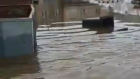 uzlieta-milviteka-macuiciu-kaime-klaipedos-rajone
