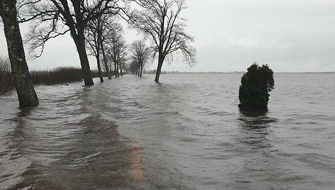 Gelbėjimo darbai Šilutės rajone, Kintų seniūnijoje