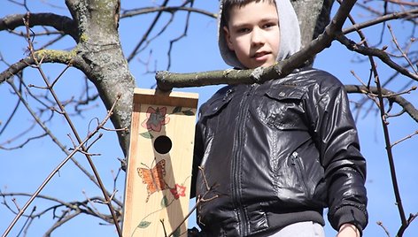 Parke iškelti moksleivių ir studentų inkilai.